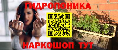 индика Ливны