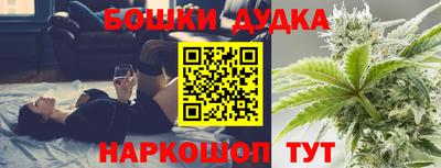 МДПВ Лесосибирск