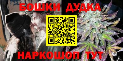 МДПВ Лесосибирск