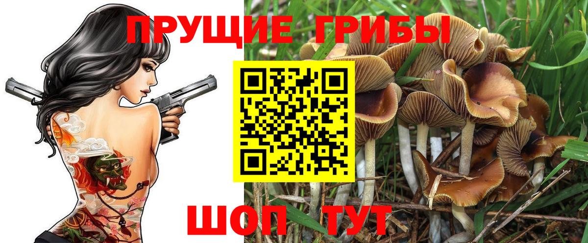 Галлюциногенные грибы ЛСД  Вход с VPN  Элиста  Галлюциногенные грибы Psilocybe 